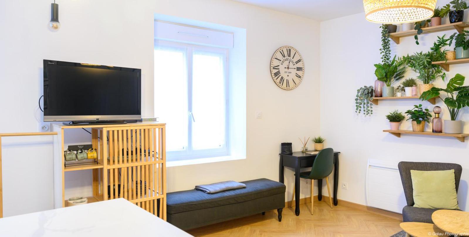 Offre Speciale ! Jolie Pepite - Le Verdoyant Nantes Luaran gambar
